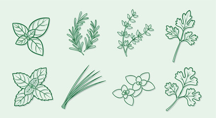 Fresh herbs collection with transparent background
