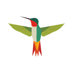 Hummingbird Illustration Colorful Bird with Spread Wings, White Background
