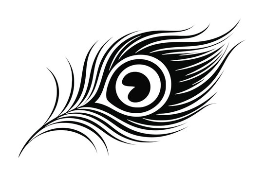 Black and white stylized peacock feather with a prominent eye design vector illustration