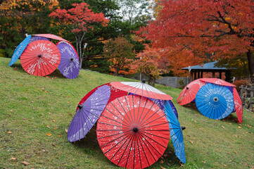 秋彩に包まれて、和傘の舞