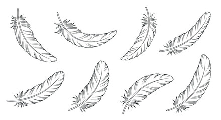Feathers collection with transparent background
