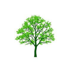Simple green vector tree silhouette on white background, flat design, vector tree,  clip art