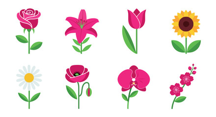 Pink flowers collection with transparent background