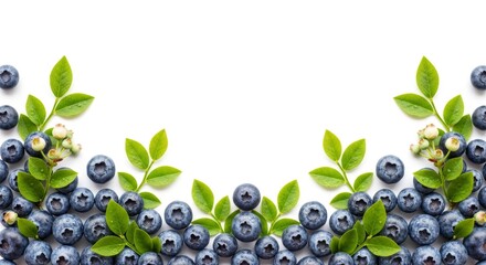 Fresh Blueberries with Green Leaves Border on White Background.