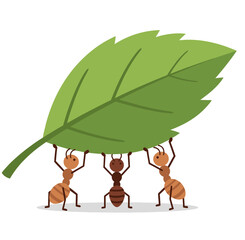 Cartoon vector illustration of three small ants working together to carry a large green leaf over a white background.