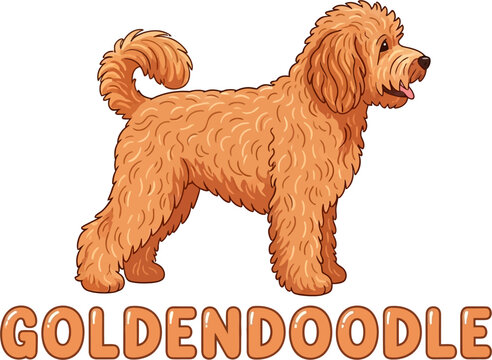 Cartoon Golden Doodle Dog with Text