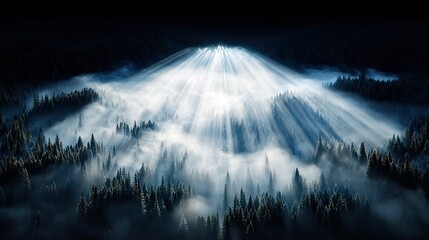 Dramatic sunbeams illuminate a misty pine forest landscape, creating an ethereal and mysterious atmosphere during early morning.