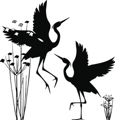 Black silhouette of two graceful cranes, wading birds, in a marsh or pond setting, standing and taking flight among stylized reeds and water plants vector.