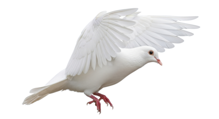 Whole ripe fresh pineapple fruit standing upright isolated on a clean white background