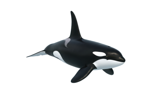 Whole ripe fresh pineapple fruit standing upright isolated on a clean white background