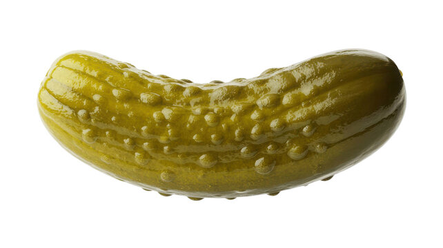 A single bumpy dill pickle isolated on transparent background