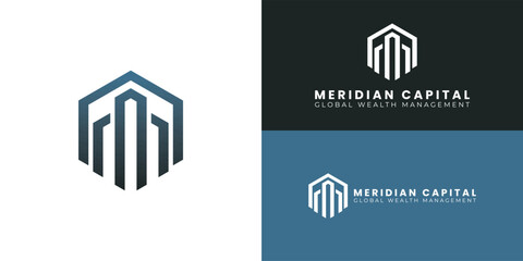 The central bars symbolize growth and capital management. They are surrounded by a robust hexagonal shield that provides protection and structure. This modern geometric design represents global wealth