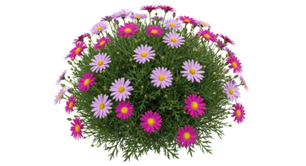 Whole ripe fresh pineapple fruit standing upright isolated on a clean white background