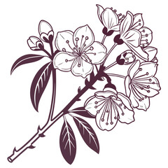 Creative details Mountain Laurel Blossom Icon vector illustration