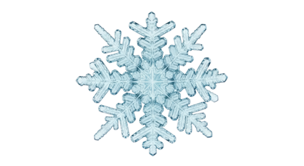 Macro Close-up of Realistic Icy Crystal Snowflake Isolated on White Background
