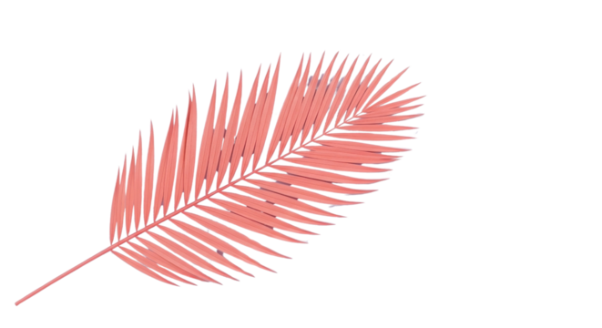 Minimalist Coral Pink Palm Leaf Vector Isolated Design Element on White Background