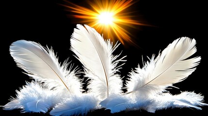Obraz premium Feathers glowing in the sunshine natural setting photography bright environment close-up view ethereal beauty