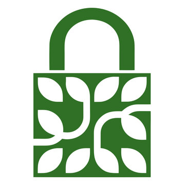 Encrypted Padlock Above Binary Data Protection Graphic