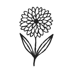 Delicate floral bloom, hand-drawn style, perfect for adding a touch of nature to designs, invitations, and branding. Vector illustration with simple elegance.