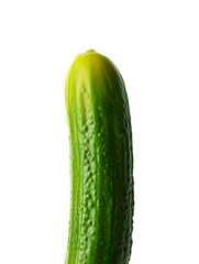 A vibrant green, fresh cucumber stands vertically, showcasing its textured skin and healthy appearance against a clean white background.
