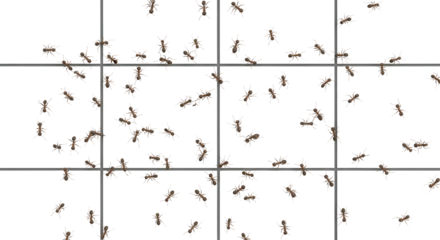 Many small brown ants scattered randomly on white grid background vector illustration