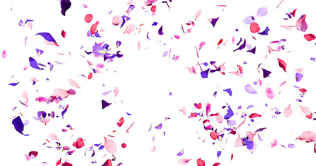 Flower petals flying here in the wind. Colorful several flowers. Isolated on alpha background. 3D rendering.