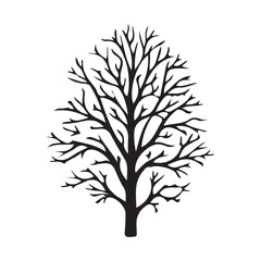 Silhouette of bare tree isolated on white background