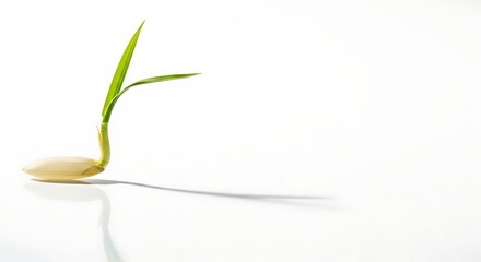 Captivating close-up of a sprouting seed showing the miracle of new life, perfect for organic gardening, sustainable agriculture and environmental awareness campaigns