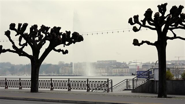 View of Lake Geneva and the Jet d&rsquo;Eau fountain. Leafless pruned trees frame the lakeside promenade on a cloudy winter day in Geneva, Switzerland.