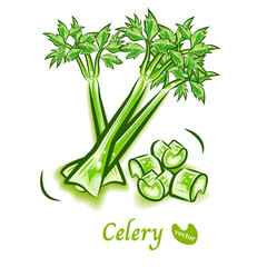 新鮮なセロリのポップなイラスト｜野菜のベクター素材