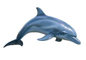 A solitary dolphin gracefully swims with its sleek body and distinctive dorsal fin. isolated on transparent background