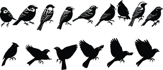 Bird silhouettes collection featuring perched and flying songbirds, detailed black vector illustrations ideal for design, nature themes, wildlife artwork, and decoration.