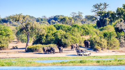 Elephant safari