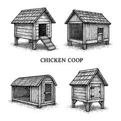 Chicken coop interior scenes with hens and nesting areas in vintage engraving style, Transparent Background © SenorPinky