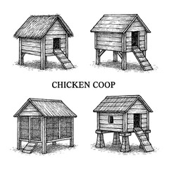 Chicken coop interior scenes with hens and nesting areas in vintage engraving style, Transparent Background © SenorPinky