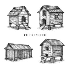 Chicken coop interior scenes with hens and nesting areas in vintage engraving style, Transparent Background © SenorPinky