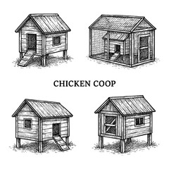 Chicken coop interior scenes with hens and nesting areas in vintage engraving style, Transparent Background © SenorPinky