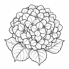 black and white flower