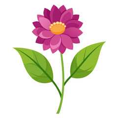 meadow flower on white background