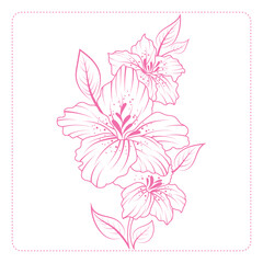 Elegant Floral Line Art Drawing Vector