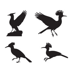 Black Silhouette Set of Exotic Birds Including Hoopoes in Flight and Perched Poses.