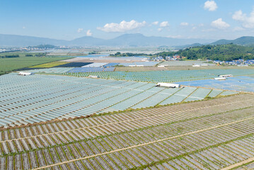 Aerial View of Extensive Farm Fields with Plastic Mulch and Greenhouses