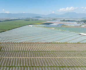 Aerial View of Extensive Farm Fields with Plastic Mulch and Greenhouses
