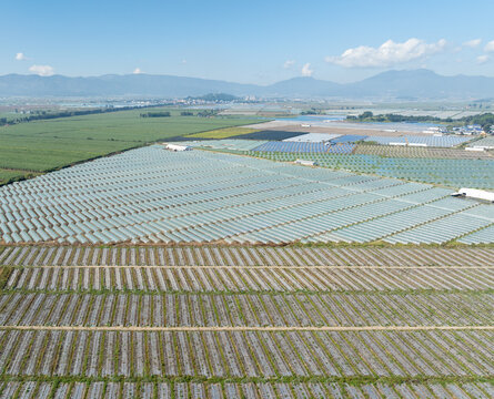 Aerial View of Extensive Farm Fields with Plastic Mulch and Greenhouses