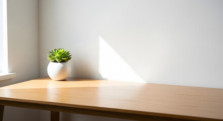 Minimalist Interior with Succulent Plant and Sunlight Shadow Background