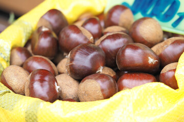 Fresh chestnuts in a market display