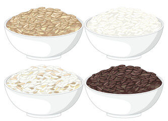 Four Bowls of Mixed Rice Varieties in Vector Style