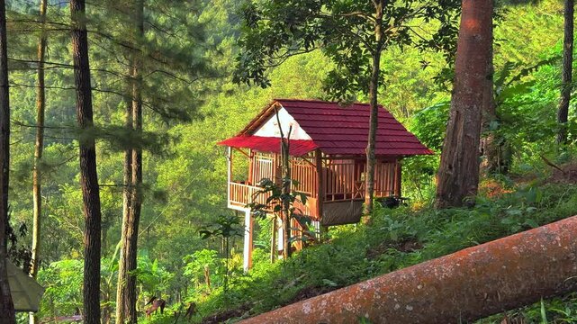 Charming stilt house with a bright red roof nestled deep within a lush tropical jungle. Excellent footage for themes of nature, outdoors, and environmental clips.