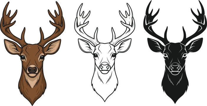 Deer Stag Head Vector Set in Three Styles: Color Illustration, Detailed Line Art Outline, and Black Silhouette, Ideal for Hunting, Nature, and Mascot Graphics