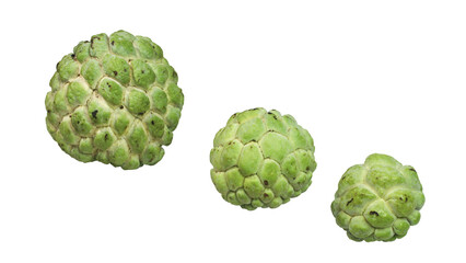 Rows of tropical fruit srikaya 